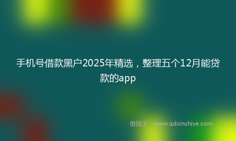 手机号借款黑户2025年精选，整理五个12月能贷款的app