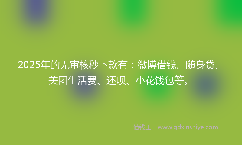2025年的无审核秒下款有：微博借钱、随身贷、美团生活费、还呗、小花钱包等。