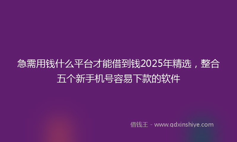 急需用钱什么平台才能借到钱2025年精选，整合五个新手机号容易下款的软件