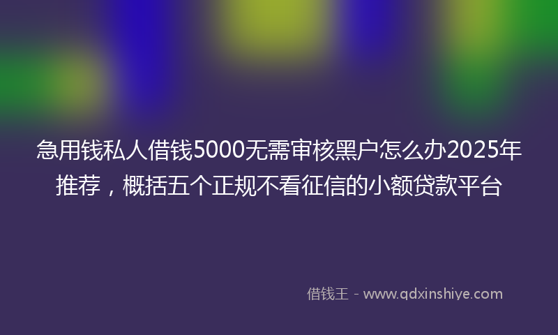 急用钱私人借钱5000无需审核黑户怎么办2025年推荐，概括五个正规不看征信的小额贷款平台