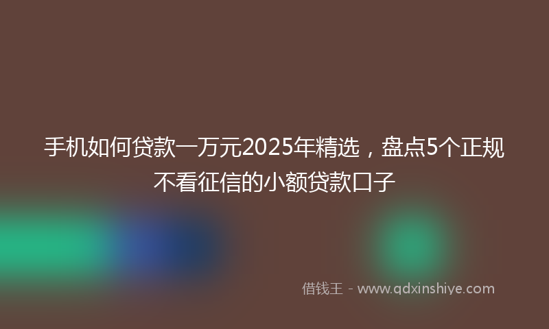 手机如何贷款一万元2025年精选，盘点5个正规不看征信的小额贷款口子