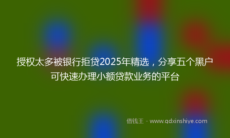 授权太多被银行拒贷2025年精选，分享五个黑户可快速办理小额贷款业务的平台