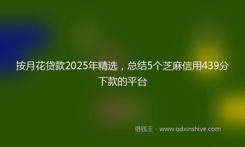 按月花贷款2025年精选，总结5个芝麻信用439分下款的平台