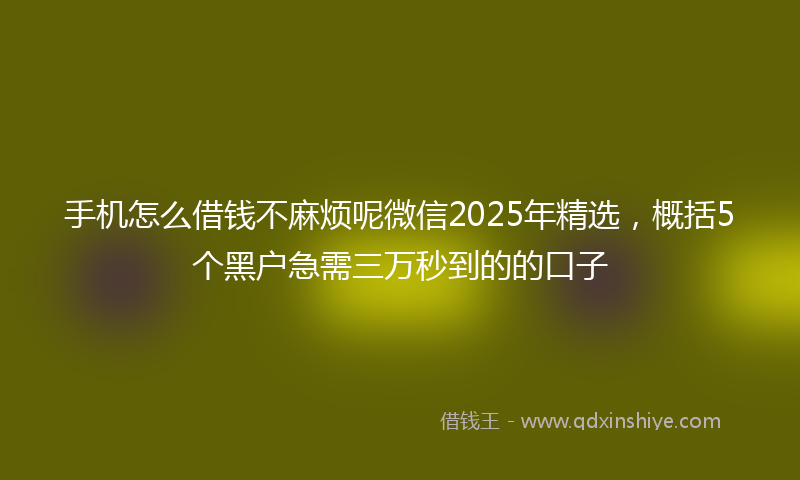 手机怎么借钱不麻烦呢微信2025年精选，概括5个黑户急需三万秒到的的口子