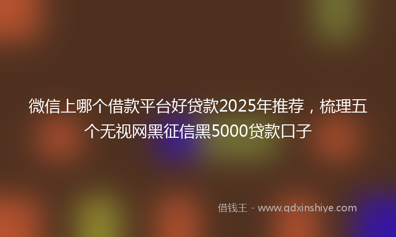 微信上哪个借款平台好贷款2025年推荐，梳理五个无视网黑征信黑5000贷款口子