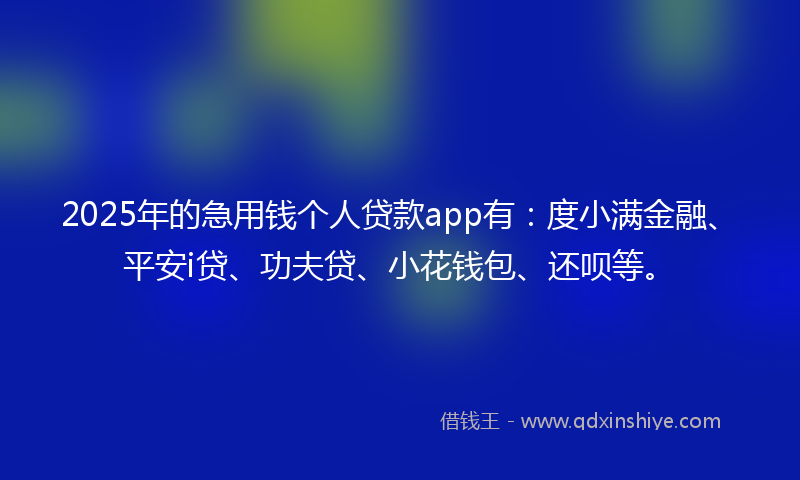 2025年的急用钱个人贷款app有：度小满金融、平安i贷、功夫贷、小花钱包、还呗等。