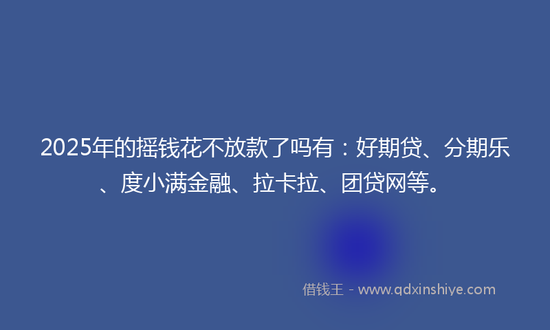 2025年的摇钱花不放款了吗有：好期贷、分期乐、度小满金融、拉卡拉、团贷网等。