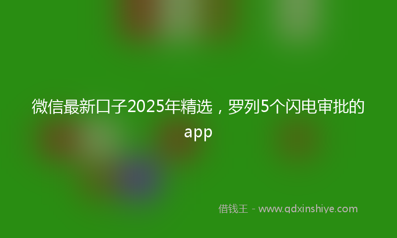 微信最新口子2025年精选，罗列5个闪电审批的app