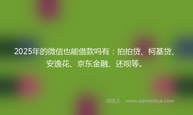 2025年的微信也能借款吗有：拍拍贷、柯基贷、安逸花、京东金融、还呗等。
