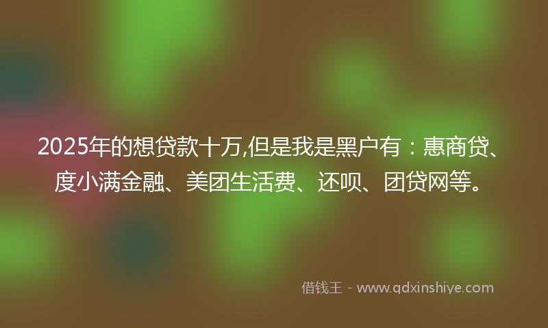 2025年的想贷款十万,但是我是黑户有：惠商贷、度小满金融、美团生活费、还呗、团贷网等。