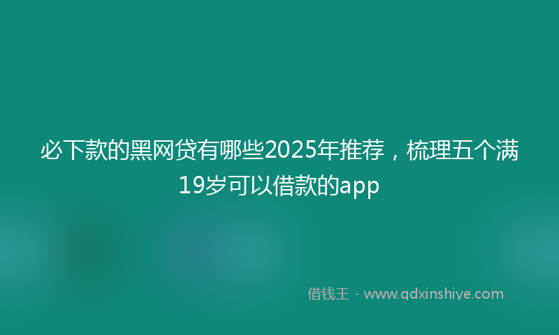 必下款的黑网贷有哪些2025年推荐，梳理五个满19岁可以借款的app