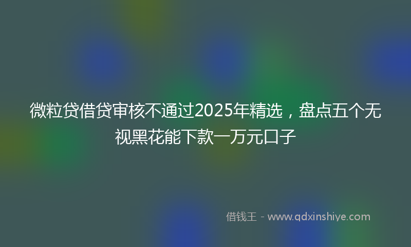 微粒贷借贷审核不通过2025年精选，盘点五个无视黑花能下款一万元口子