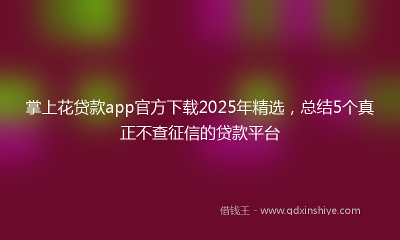 掌上花贷款app官方下载2025年精选，总结5个真正不查征信的贷款平台