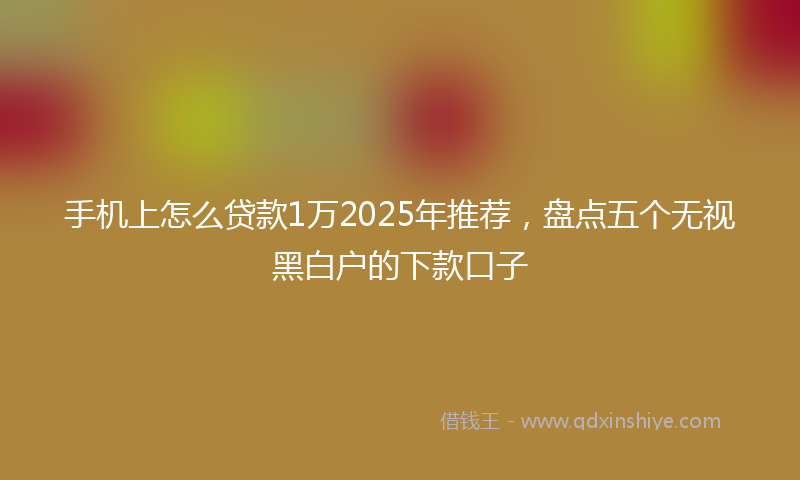 手机上怎么贷款1万2025年推荐，盘点五个无视黑白户的下款口子