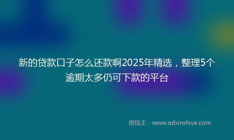新的贷款口子怎么还款啊2025年精选，整理5个逾期太多仍可下款的平台