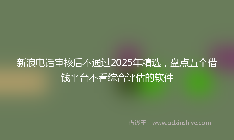 新浪电话审核后不通过2025年精选，盘点五个借钱平台不看综合评估的软件
