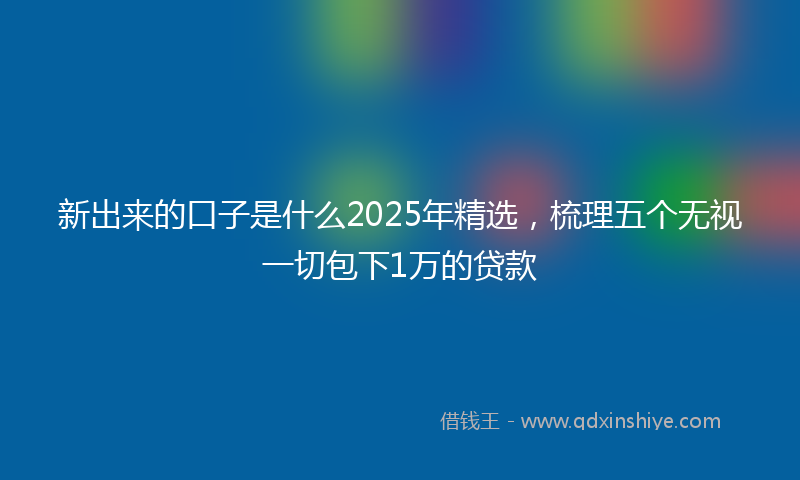 新出来的口子是什么2025年精选，梳理五个无视一切包下1万的贷款