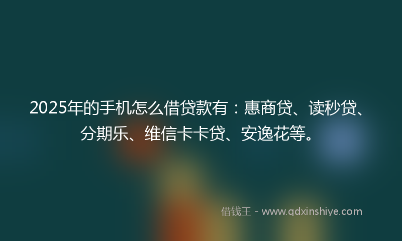 2025年的手机怎么借贷款有：惠商贷、读秒贷、分期乐、维信卡卡贷、安逸花等。