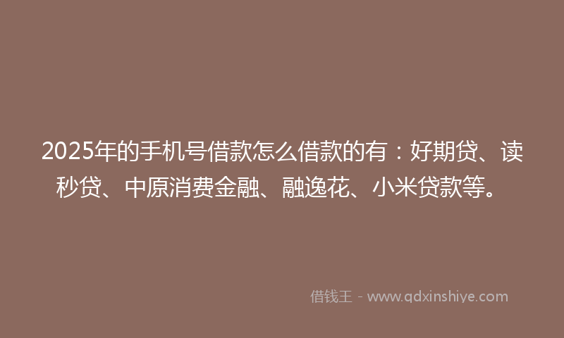 2025年的手机号借款怎么借款的有：好期贷、读秒贷、中原消费金融、融逸花、小米贷款等。