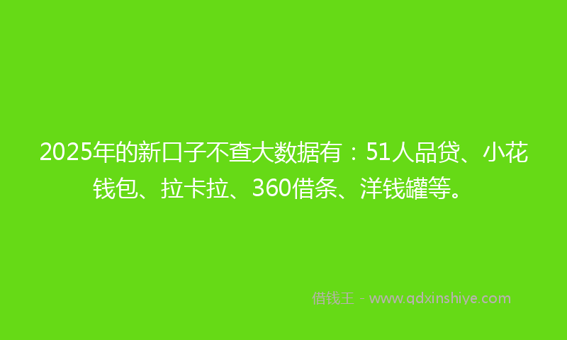 2025年的新口子不查大数据有：51人品贷、小花钱包、拉卡拉、360借条、洋钱罐等。