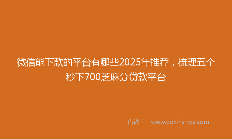 微信能下款的平台有哪些2025年推荐，梳理五个秒下700芝麻分贷款平台