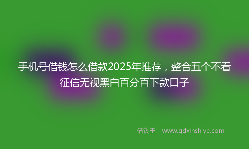手机号借钱怎么借款2025年推荐，整合五个不看征信无视黑白百分百下款口子