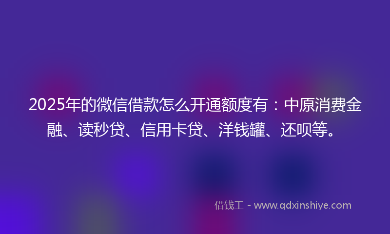 2025年的微信借款怎么开通额度有：中原消费金融、读秒贷、信用卡贷、洋钱罐、还呗等。