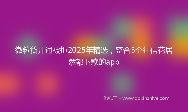 微粒贷开通被拒2025年精选，整合5个征信花居然都下款的app
