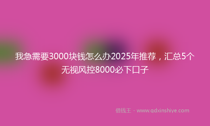 我急需要3000块钱怎么办2025年推荐，汇总5个无视风控8000必下口子