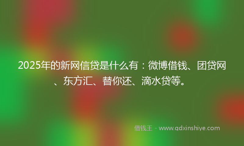 2025年的新网信贷是什么有：微博借钱、团贷网、东方汇、替你还、滴水贷等。