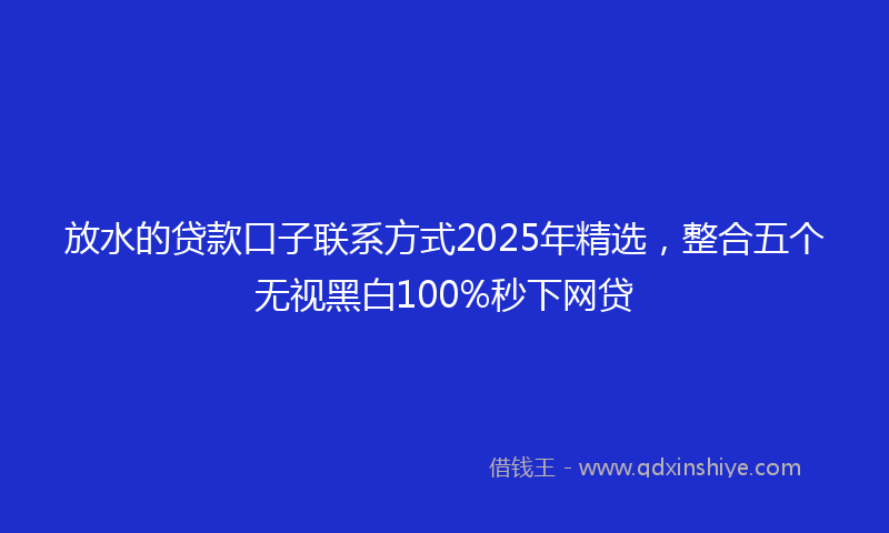 放水的贷款口子联系方式2025年精选，整合五个无视黑白100%秒下网贷