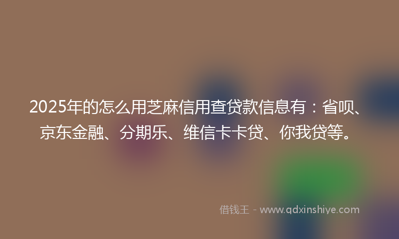 2025年的怎么用芝麻信用查贷款信息有：省呗、京东金融、分期乐、维信卡卡贷、你我贷等。
