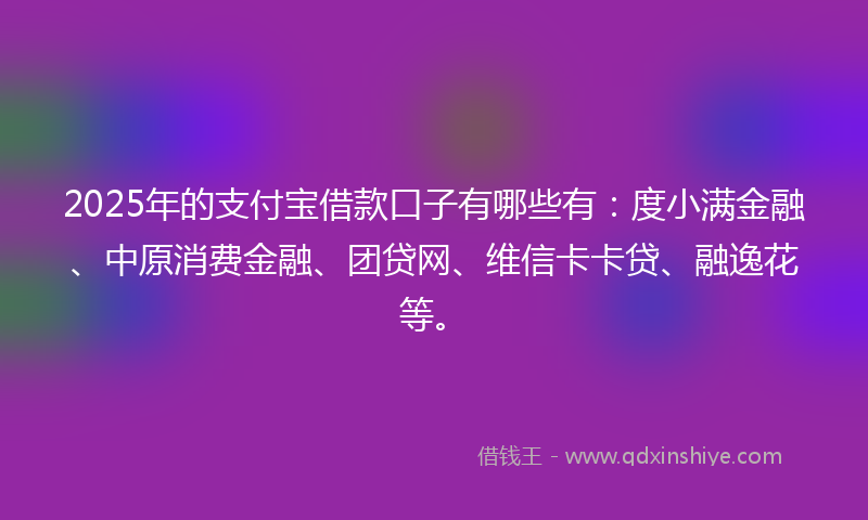 2025年的支付宝借款口子有哪些有：度小满金融、中原消费金融、团贷网、维信卡卡贷、融逸花等。