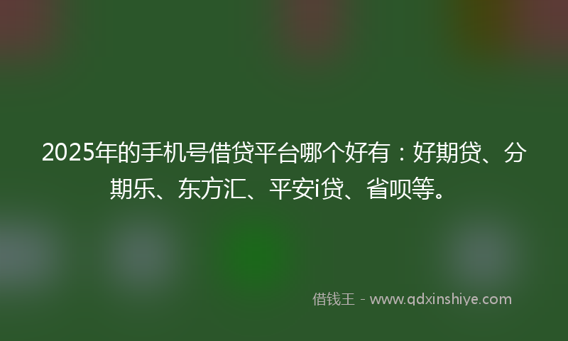 2025年的手机号借贷平台哪个好有：好期贷、分期乐、东方汇、平安i贷、省呗等。