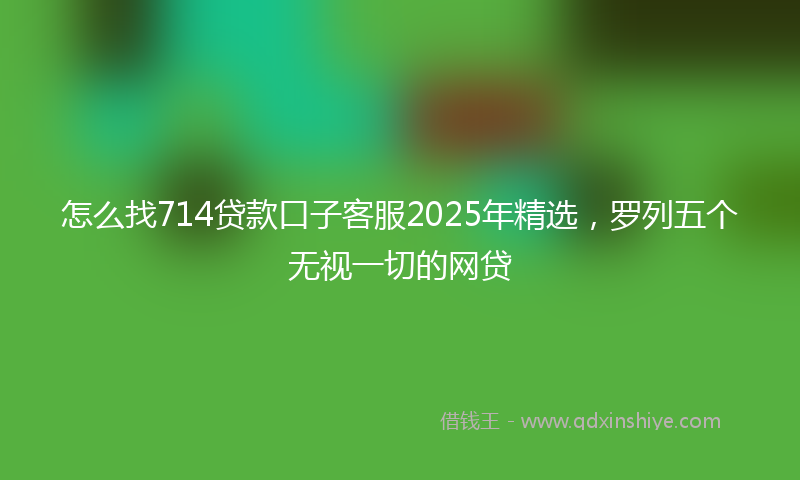 怎么找714贷款口子客服2025年精选，罗列五个无视一切的网贷