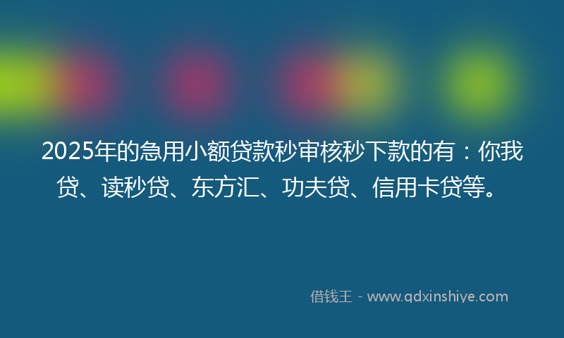 2025年的急用小额贷款秒审核秒下款的有：你我贷、读秒贷、东方汇、功夫贷、信用卡贷等。