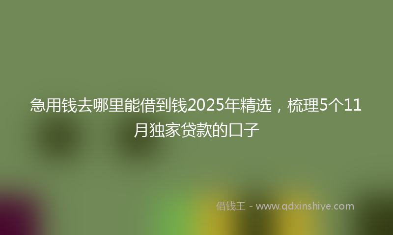 急用钱去哪里能借到钱2025年精选，梳理5个11月独家贷款的口子