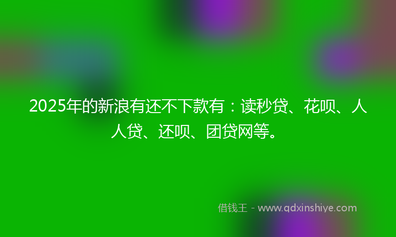 2025年的新浪有还不下款有：读秒贷、花呗、人人贷、还呗、团贷网等。