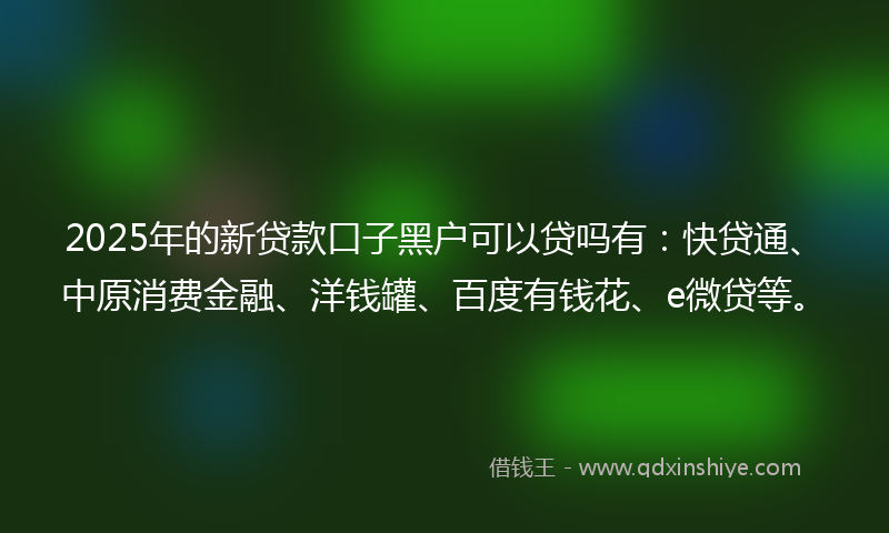 2025年的新贷款口子黑户可以贷吗有：快贷通、中原消费金融、洋钱罐、百度有钱花、e微贷等。