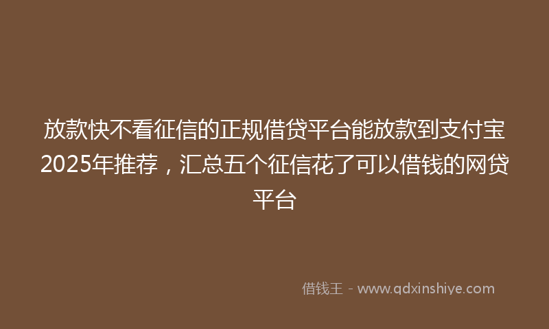 放款快不看征信的正规借贷平台能放款到支付宝2025年推荐，汇总五个征信花了可以借钱的网贷平台