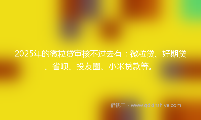 2025年的微粒贷审核不过去有：微粒贷、好期贷、省呗、投友圈、小米贷款等。
