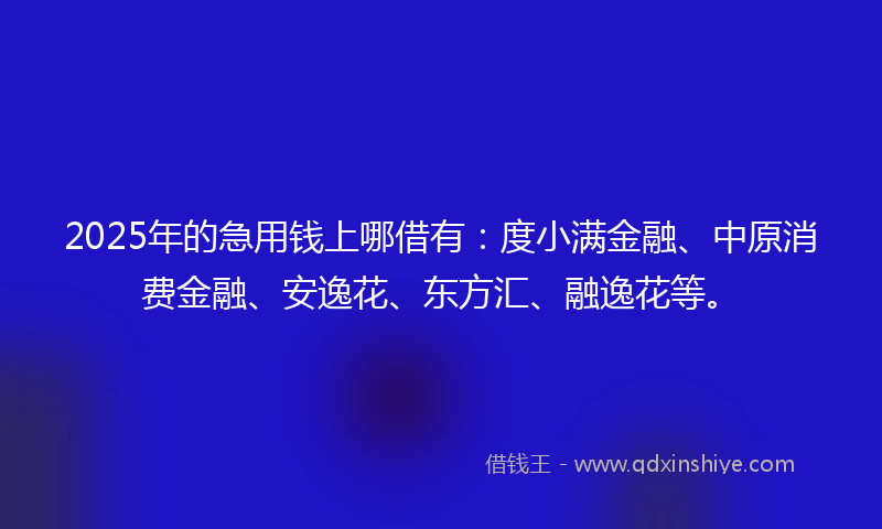 2025年的急用钱上哪借有：度小满金融、中原消费金融、安逸花、东方汇、融逸花等。