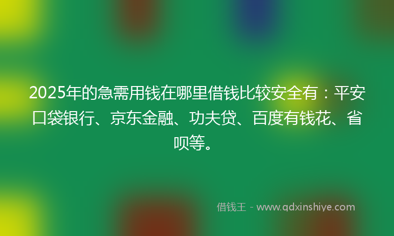 2025年的急需用钱在哪里借钱比较安全有：平安口袋银行、京东金融、功夫贷、百度有钱花、省呗等。