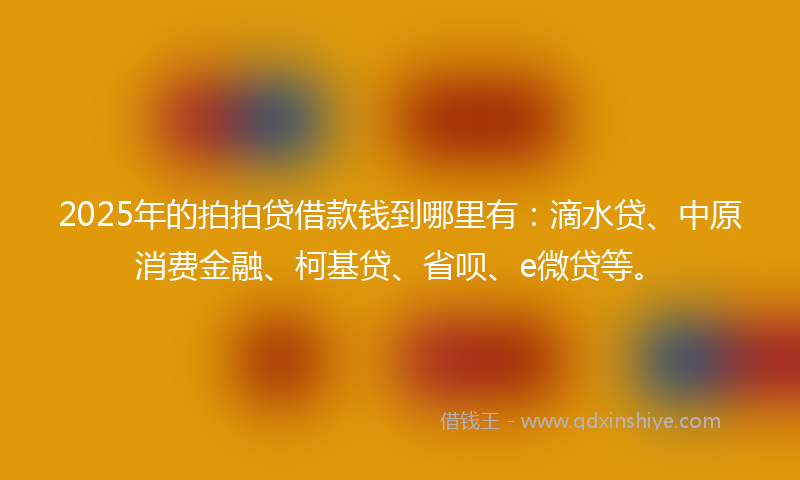 2025年的拍拍贷借款钱到哪里有：滴水贷、中原消费金融、柯基贷、省呗、e微贷等。
