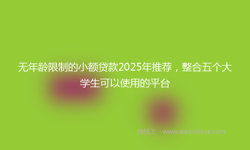 无年龄限制的小额贷款2025年推荐，整合五个大学生可以使用的平台