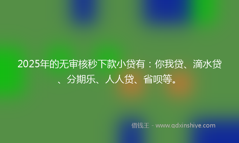 2025年的无审核秒下款小贷有：你我贷、滴水贷、分期乐、人人贷、省呗等。