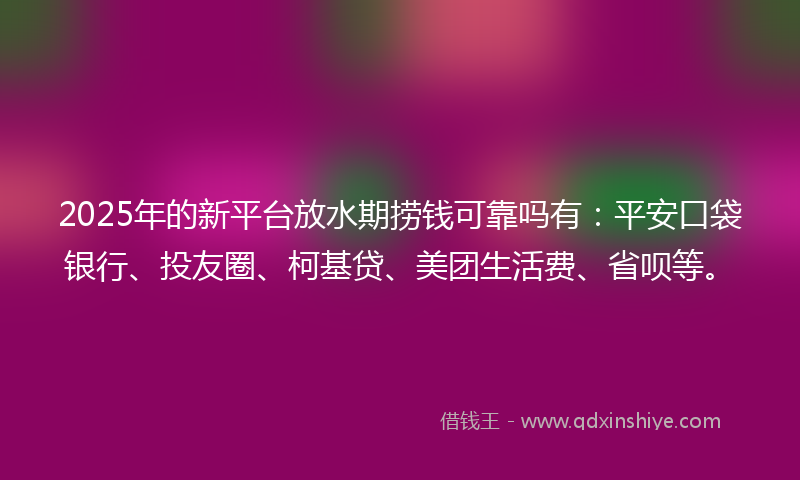 2025年的新平台放水期捞钱可靠吗有：平安口袋银行、投友圈、柯基贷、美团生活费、省呗等。