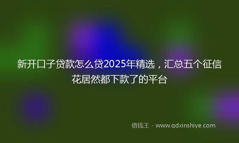 新开口子贷款怎么贷2025年精选，汇总五个征信花居然都下款了的平台