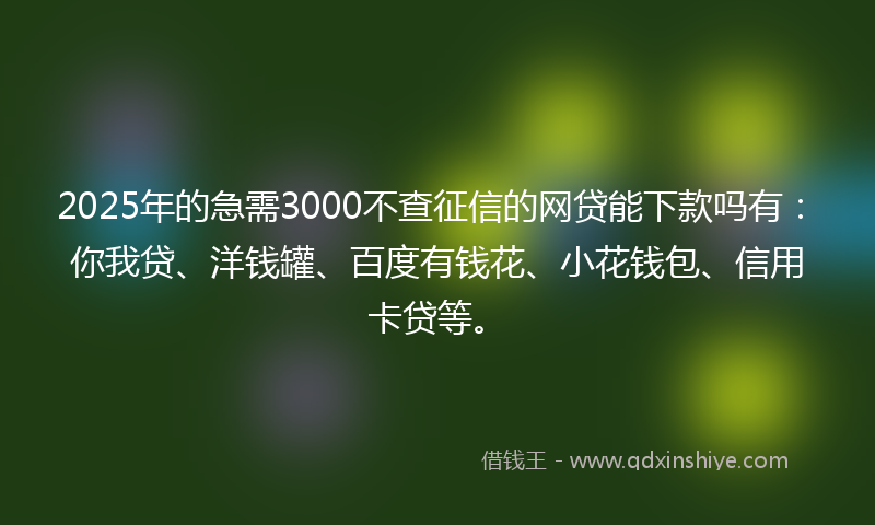 2025年的急需3000不查征信的网贷能下款吗有：你我贷、洋钱罐、百度有钱花、小花钱包、信用卡贷等。