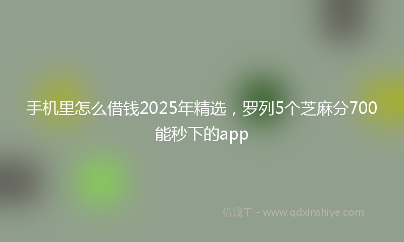 手机里怎么借钱2025年精选，罗列5个芝麻分700能秒下的app